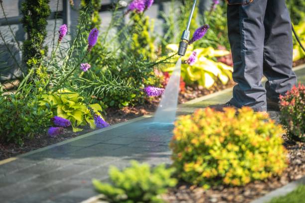 Best Winterizing Services  in Ord, NE